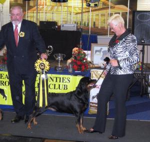 Meggie winning Best Bitch at DOTY 09