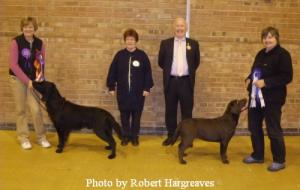 Best in Show and Reserve Best in Show