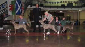 Best Puppy in Show WCOS Champ Show 2009