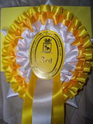 3RD IN CLASS