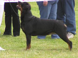 Meggie 2 years