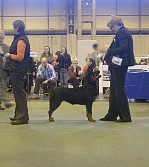 Ruby's first show and what a result!