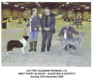 Toggle winning BPIS