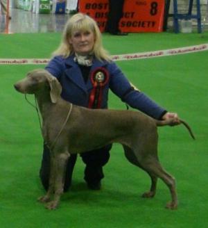 Diva winning Best Puppy in Breed