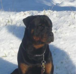 Mojo @ 9mths