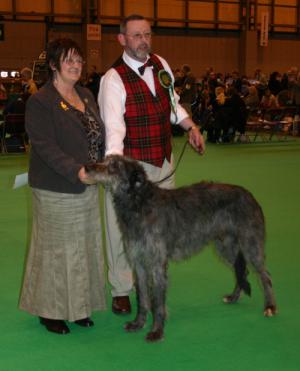 Dog CC Winner Crufts 2007