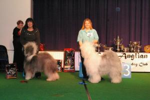 East Anglian Champ Show Jan 2010