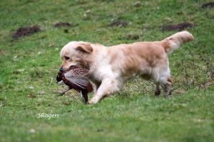 Jason with pheasant