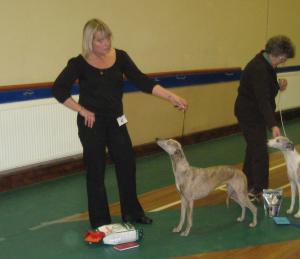 Jaz winning Best Veteran in Show