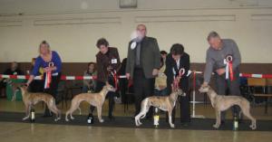 Rosa (far left) BIS line up