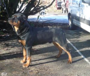 Will @ 7months old