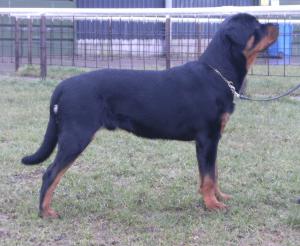Arthur