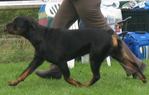 Meggie 2 1/2 Years