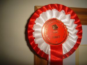 !st Place Puppy Dog