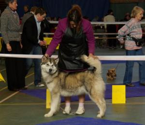 Sunday - Liege Show 2010