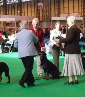 Louise at Crufts