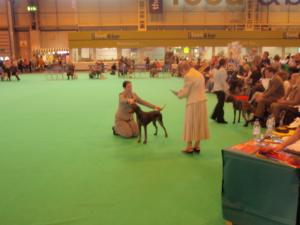 Lara Crufts 2010
