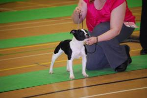 lushus pretty little diva aka lottie