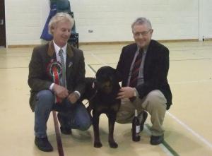 BEST IN SHOW
