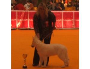 Chai winning Group 1 (puppies)