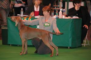 AT Crufts 2009