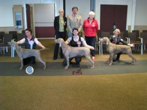 weim of the year