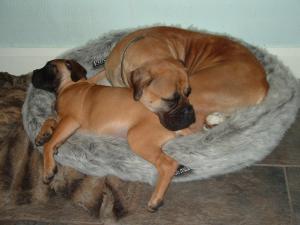 Bunty 8mths with Mum