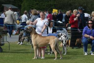 Dan waiting for the final decision.
