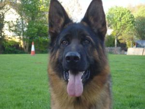 Hero head shot at 17 months 
