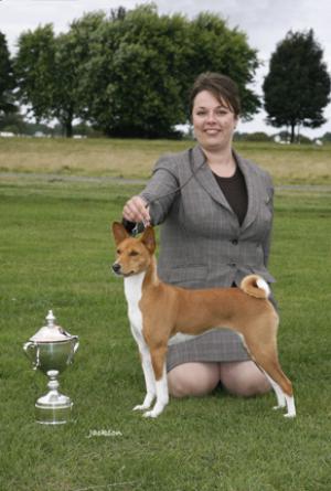 Special Beginners Trophy