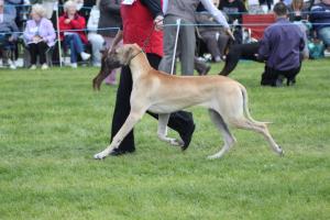 PERFORMING ON THE DAY AGED 6 MONTHS