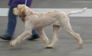 Kira on the move