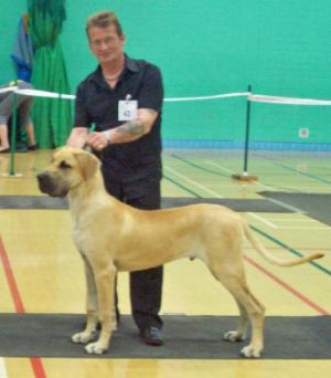 Oakley- Best Puppy in Show