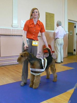 Dixon with his BIS Sash and Brooke