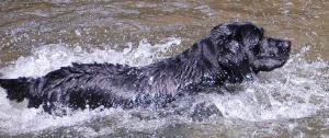 Enjoying Springtime splash!