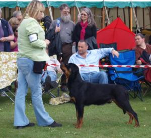 RODNEY AT THE SHOW