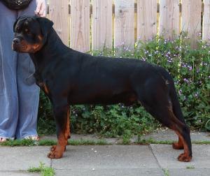 Kyzer 15 Months