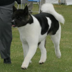 Hattie on the move
