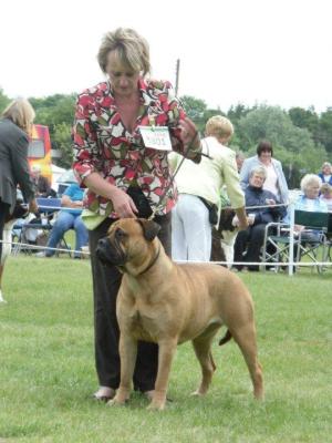 Ruby, Three Counties 2010