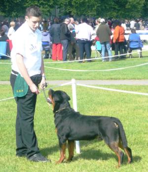 Lewis & Will @ Three Counties show