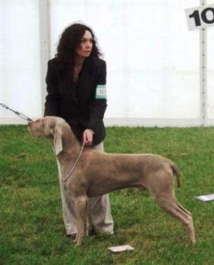 Harvey gaining 1st place in his class
