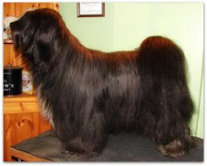 Araki Cuddly Duddly for Tiamastae