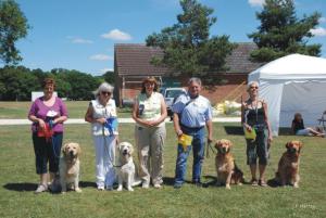 Beginners obedience class