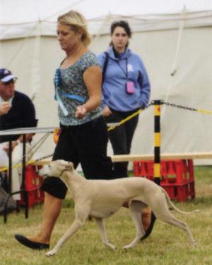 Sky winning BOB & G2