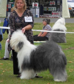Max - Res Post Graduate Dog NWP 17/07/10