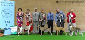 Honey winning Best Puppy in Show