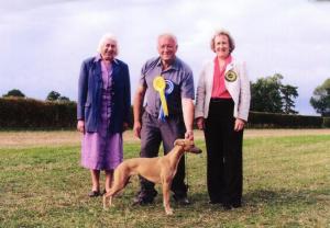 Honey winning Reserve Best Puppy in Show