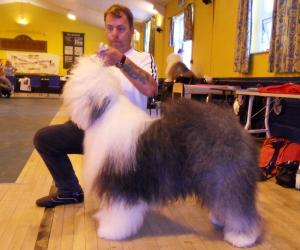 Max - 2nd PGD OES Club Open Show 08/08/10