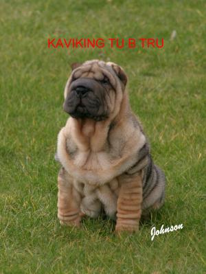 KAVIKING TU B TRU