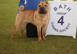 KAVIKING HERE'S THE MAN